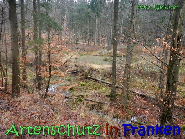 Copyright AiS Klaus Weidner Bild zum Eintrag (63151-160)