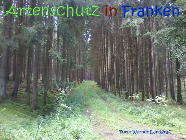 Copyright AiS Werner Landgraf Bild zum Eintrag (68887-160)