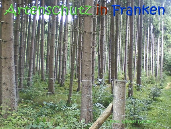 Copyright AiS Werner Landgraf Bild zum Eintrag (68890-160)