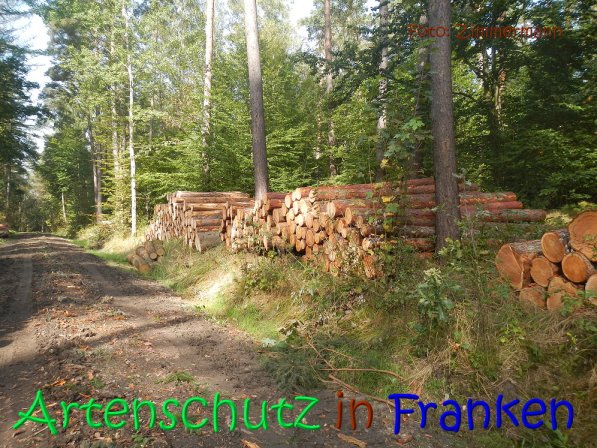 Copyright AiS Zimmerman Bild zum Eintrag (70096-160)