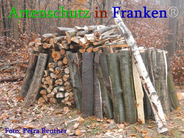Bild zum Eintrag (72507-160)