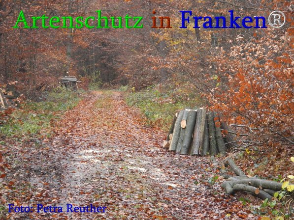 Bild zum Eintrag (72510-160)
