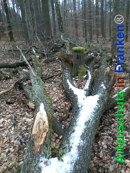 Bild zum Eintrag (72545-160)