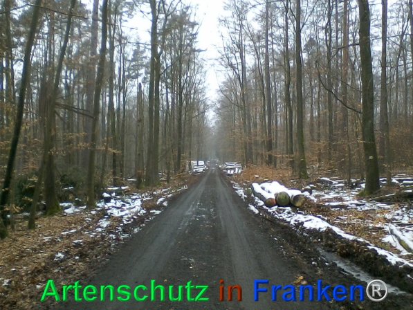 Bild zum Eintrag (72546-160)