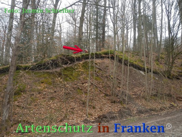 Copyright AiF Jasmin Schreiber Bild zum Eintrag (73412-160)