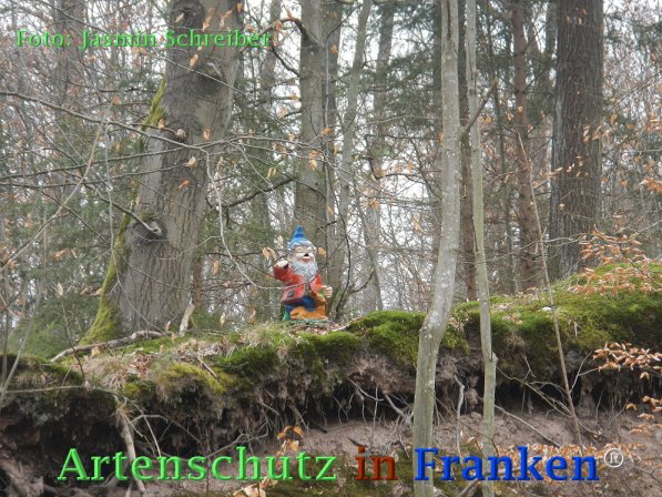 Copyright AiF Jasmin Schreiber Bild zum Eintrag (73413-160)