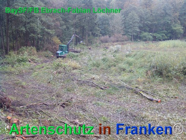 Copyright AiF Bay-SF Fabian Löchner Bild zum Eintrag (75686-160)