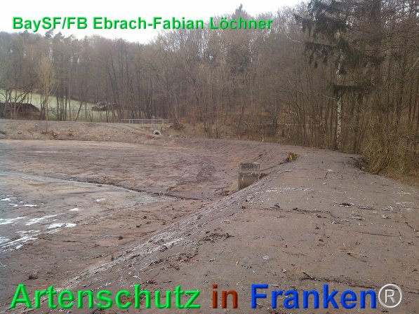 Copyright AiF Bay-SF Fabian Löchner Bild zum Eintrag (75689-160)
