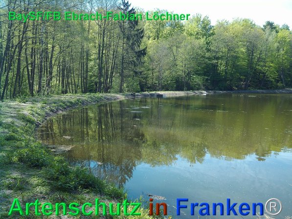 Copyright AiF Bay-SF Fabian Löchner Bild zum Eintrag (75691-160)