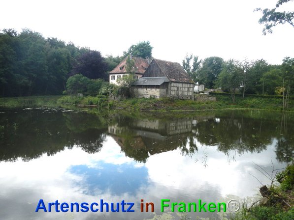 Copyright AiF Jasmin Schreiber Bild zum Eintrag (75814-160)