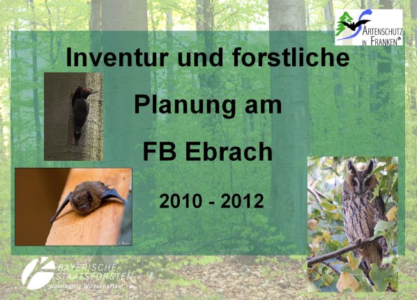 Copyright AiF Bayerische Staatsforsten / FB Ebrach Bild zum Eintrag (80186-160)