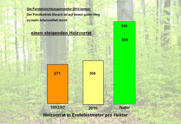 Copyright AiF Bayerische Staatsforsten / FB Ebrach Bild zum Eintrag (80187-160)