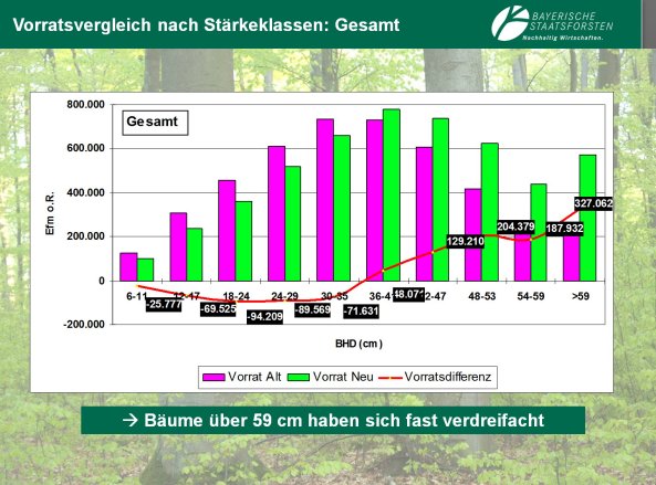 Copyright AiF Bayerische Staatsforsten / FB Ebrach Bild zum Eintrag (80192-160)