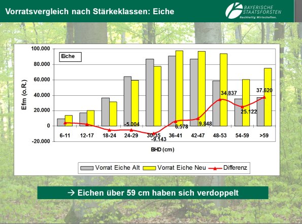 Copyright AiF Bayerische Staatsforsten / FB Ebrach Bild zum Eintrag (80193-160)