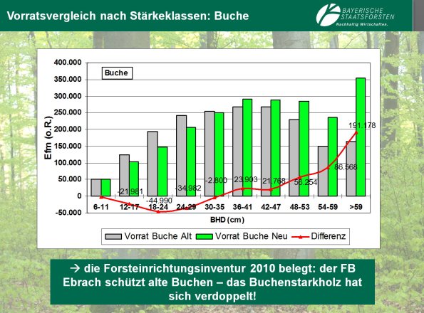 Copyright AiF Bayerische Staatsforsten / FB Ebrach Bild zum Eintrag (80194-160)