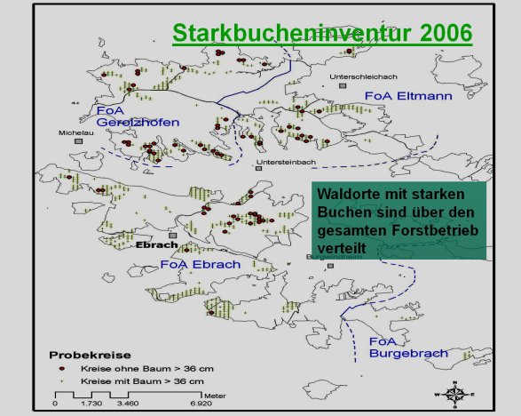 Copyright AiF Bayerische Staatsforsten / FB Ebrach Bild zum Eintrag (80195-160)