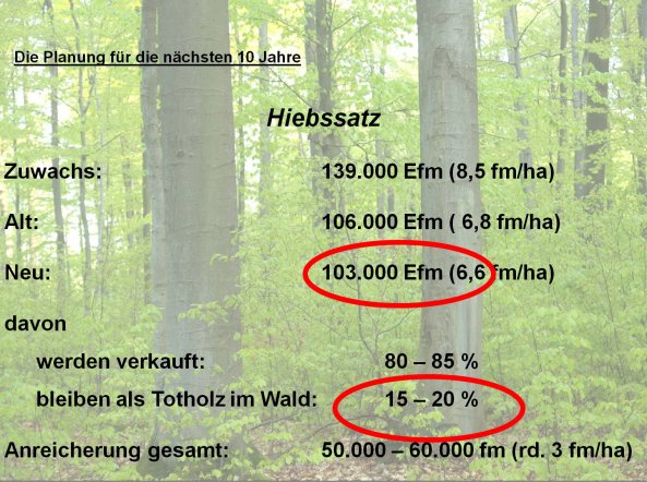 Bild zum Eintrag (80198-160)