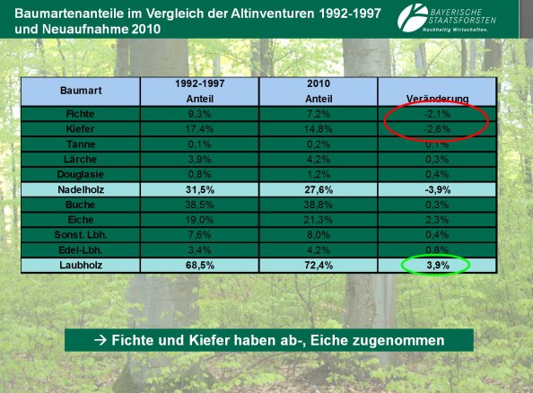 Copyright AiF Bayerische Staatsforsten / FB Ebrach Bild zum Eintrag (80208-160)