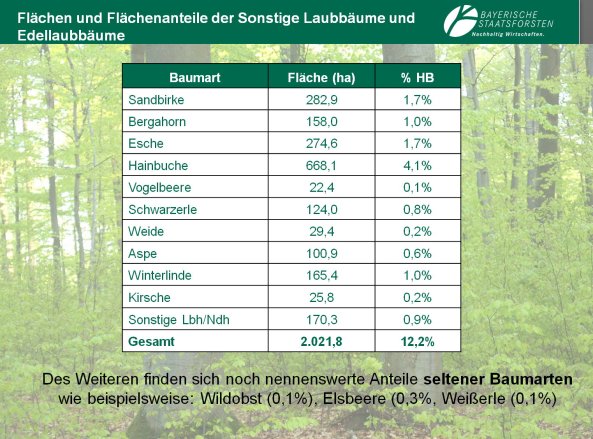Copyright AiF Bayerische Staatsforsten / FB Ebrach Bild zum Eintrag (80209-160)