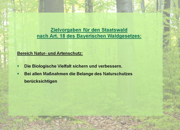 Copyright AiF Bayerische Staatsforsten / FB Ebrach Bild zum Eintrag (80210-160)