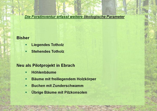 Copyright AiF Bayerische Staatsforsten / FB Ebrach Bild zum Eintrag (80211-160)