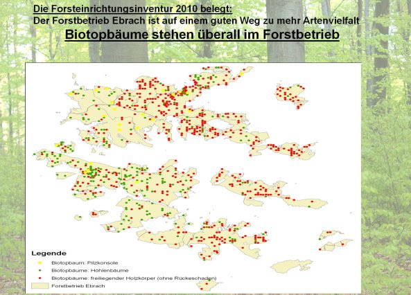 Copyright AiF Bayerische Staatsforsten / FB Ebrach Bild zum Eintrag (80214-160)