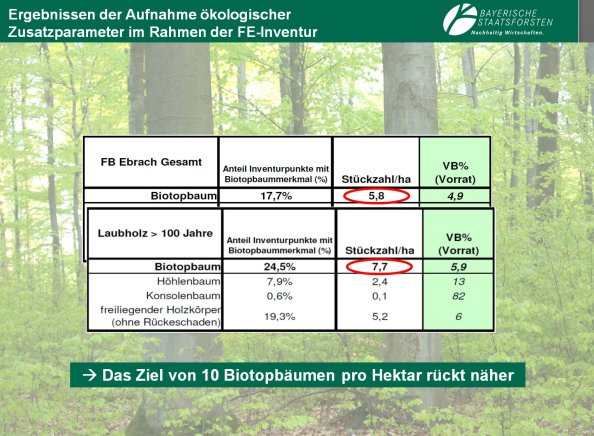 Copyright AiF Bayerische Staatsforsten / FB Ebrach Bild zum Eintrag (80215-160)