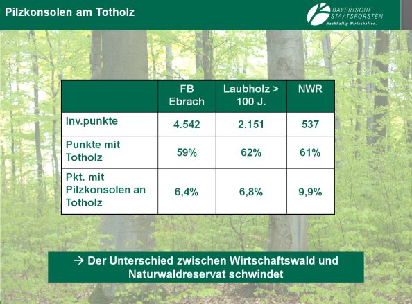 Copyright AiF Bayerische Staatsforsten / FB Ebrach Bild zum Eintrag (80216-160)