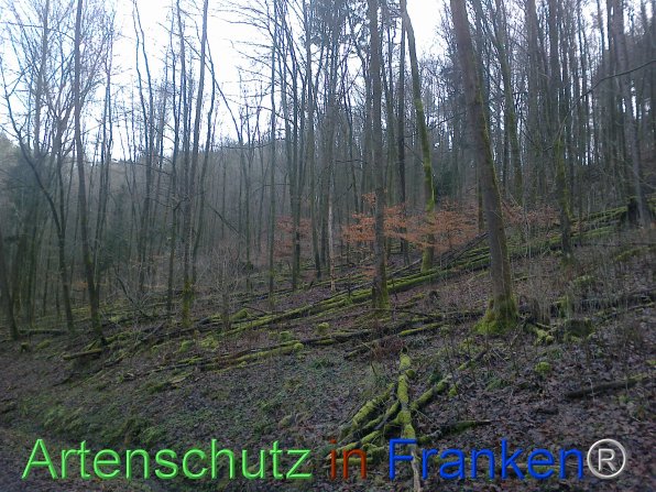 Copyright AiF F.Jannik Bild zum Eintrag (80927-160)