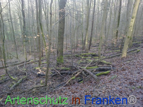 Copyright AiF F.Jannik Bild zum Eintrag (80928-160)