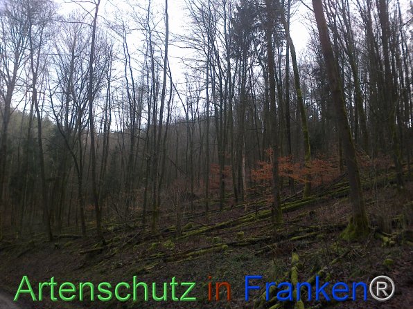 Copyright AiF F.Jannik Bild zum Eintrag (80929-160)