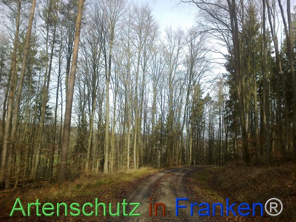 Copyright AiF F.Jannik Bild zum Eintrag (80931-160)