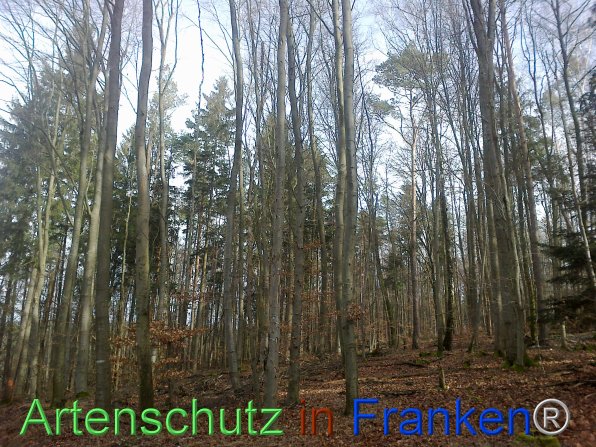 Copyright AiF F.Jannik Bild zum Eintrag (80932-160)