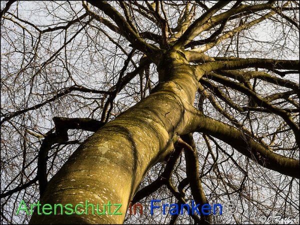 Copyright AiF Johannes Rother Bild zum Eintrag (81581-160)