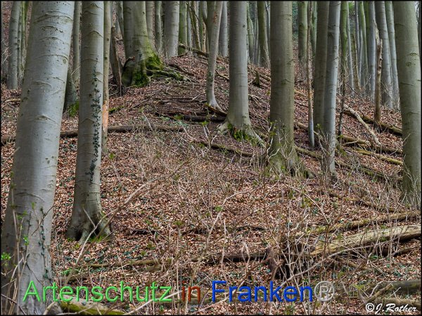 Copyright AiF Johannes Rother Bild zum Eintrag (81586-160)