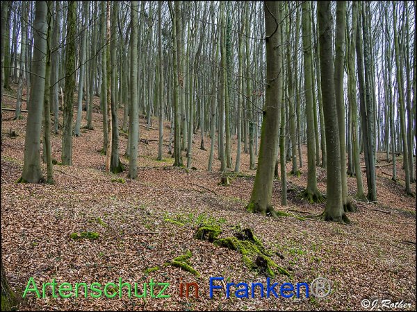 Copyright AiF Johannes Rother Bild zum Eintrag (81588-160)