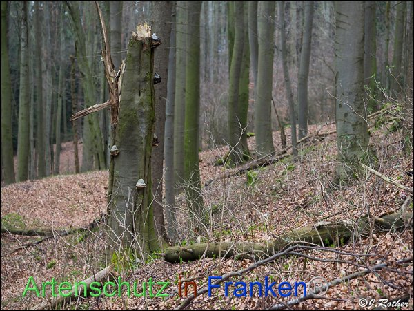 Copyright AiF Johannes Rother Bild zum Eintrag (81593-160)