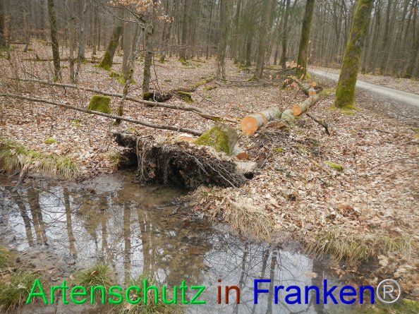 Copyright AiF - Bild zum Eintrag (81763-160)