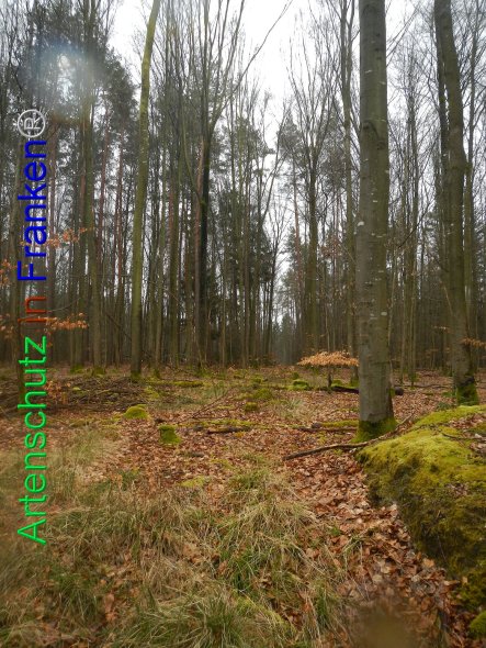 Bild zum Eintrag (81820-160)