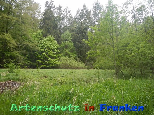 Bild zum Eintrag (82940-160)