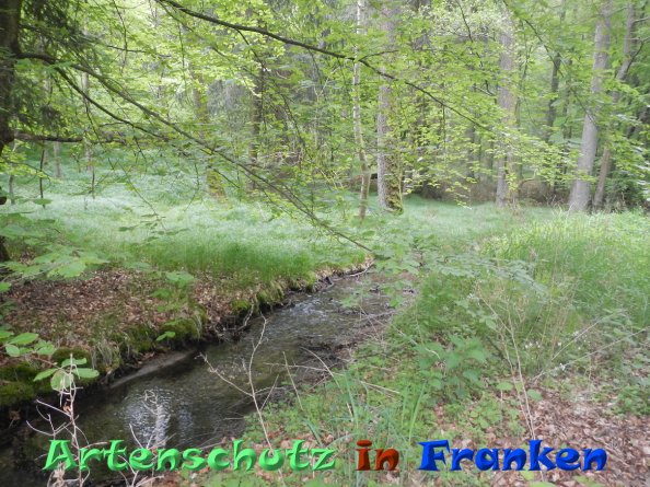 Bild zum Eintrag (82950-160)