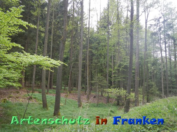 Bild zum Eintrag (82978-160)