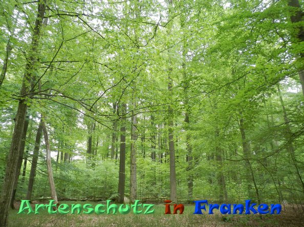 Bild zum Eintrag (82998-160)