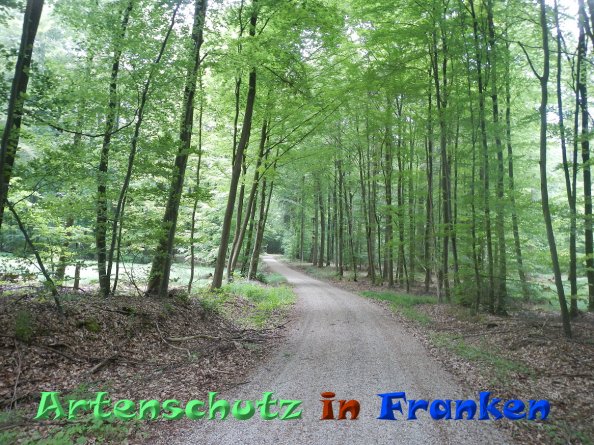 Bild zum Eintrag (82999-160)