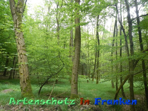 Bild zum Eintrag (83026-160)