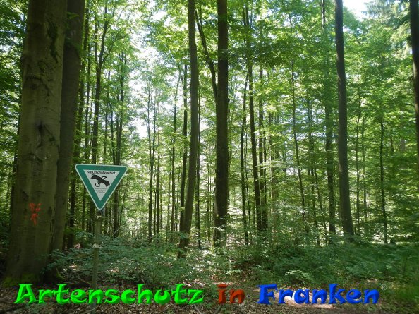 Bild zum Eintrag (84052-160)