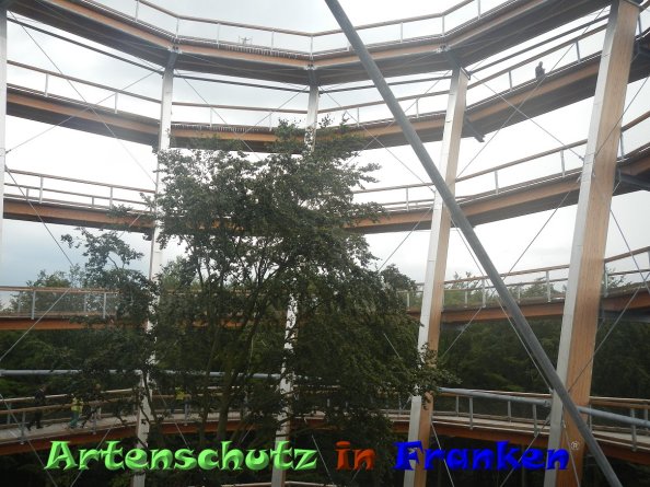Bild zum Eintrag (84263-160)