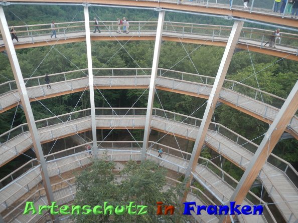 Bild zum Eintrag (84264-160)