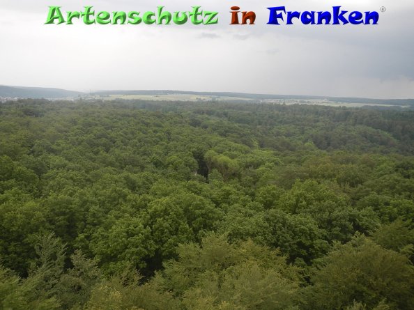 Bild zum Eintrag (84270-160)