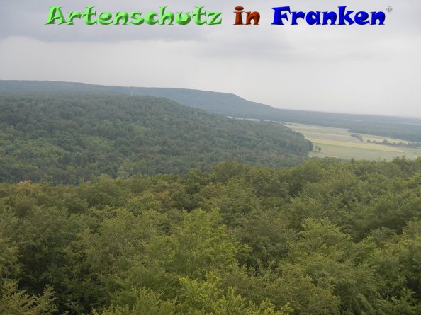 Bild zum Eintrag (84271-160)